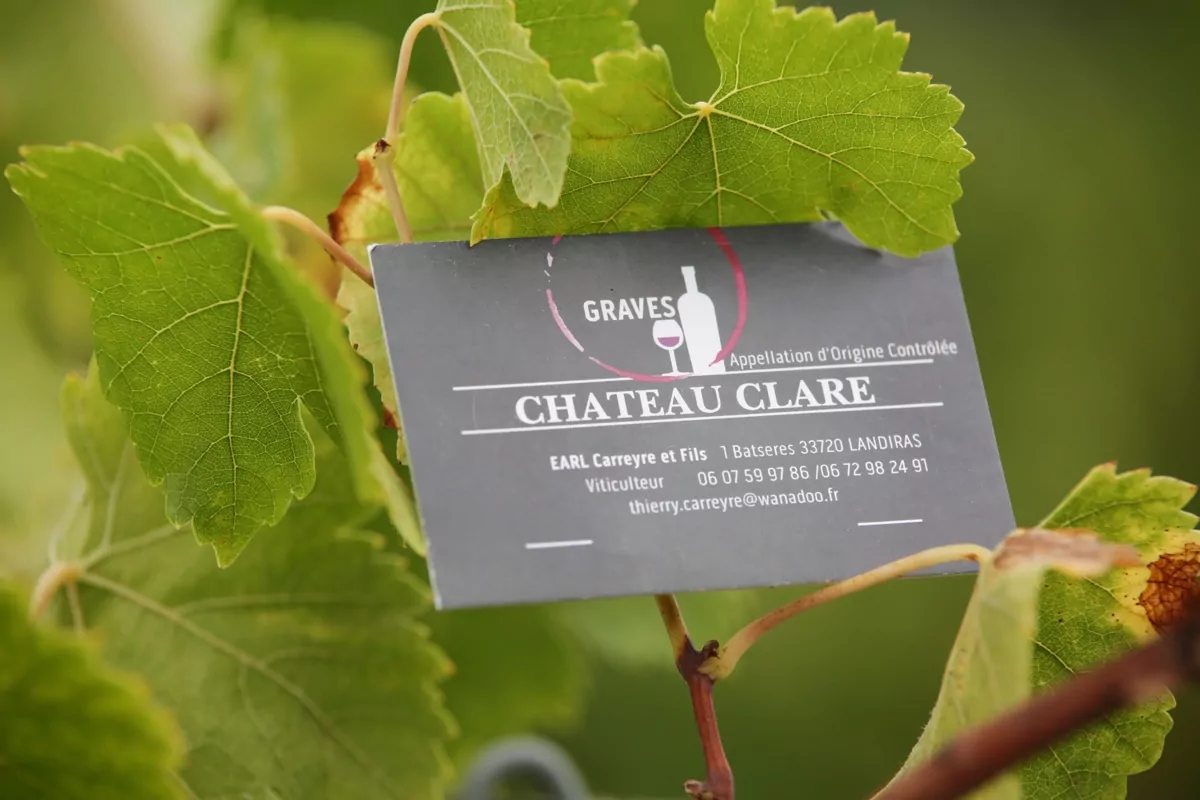 Les vins rouge de Bordeaux
