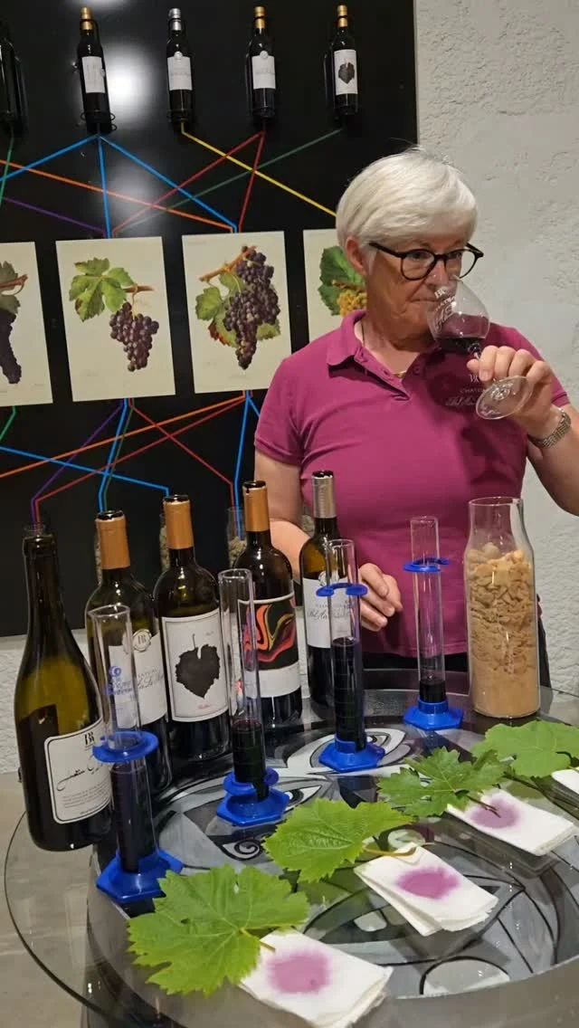 🍷Découvrez prochainement notre CASTETS  Disponible à la vente à partir de septembre 2026.  Ce cépage rare nous séduit déjà par ses arômes de violette, de cassis et de prune. (Enfin surtout à Corinne qui le déguste sans crachoir 🤭)  Élevé en cuve inox afin de préserver toute la fraîcheur du fruit, il offre un profil gourmand et accessible, avec seulement 11,5 % d'alcool.  Nous l'aimons déjà beaucoup... et nous avons hâte de vous le faire découvrir !  ⚠️ Les quantités seront très limitées.  Restez connectés si vous souhaitez être parmi les premiers à en profiter.  www.chateaubelairlaroyere.com  L'abus d'alcool est dangereux pour la santé, à consommer avec modération.  #blayecotesdebordeaux #degustationdevin #oenotourisme #vinbio #vignoble castets