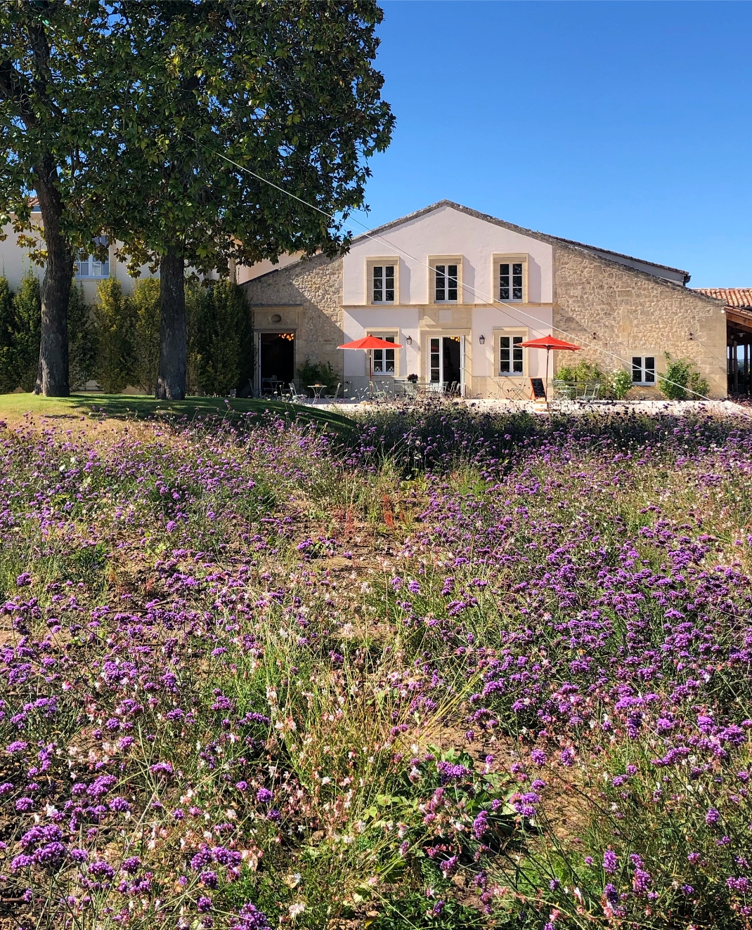 Château Larmande — photo 3