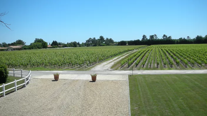 Château Paloumey — photo 11