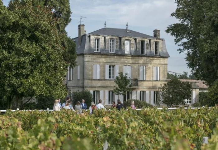 Château Paloumey — photo 6
