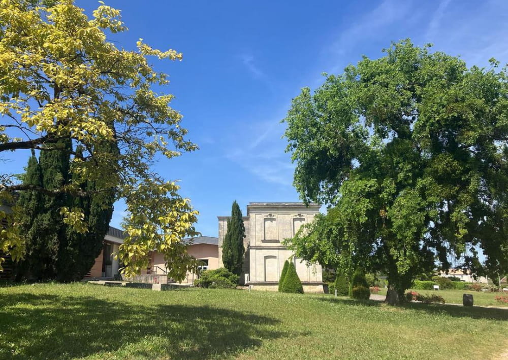 Château Luchey-Halde — photo 10