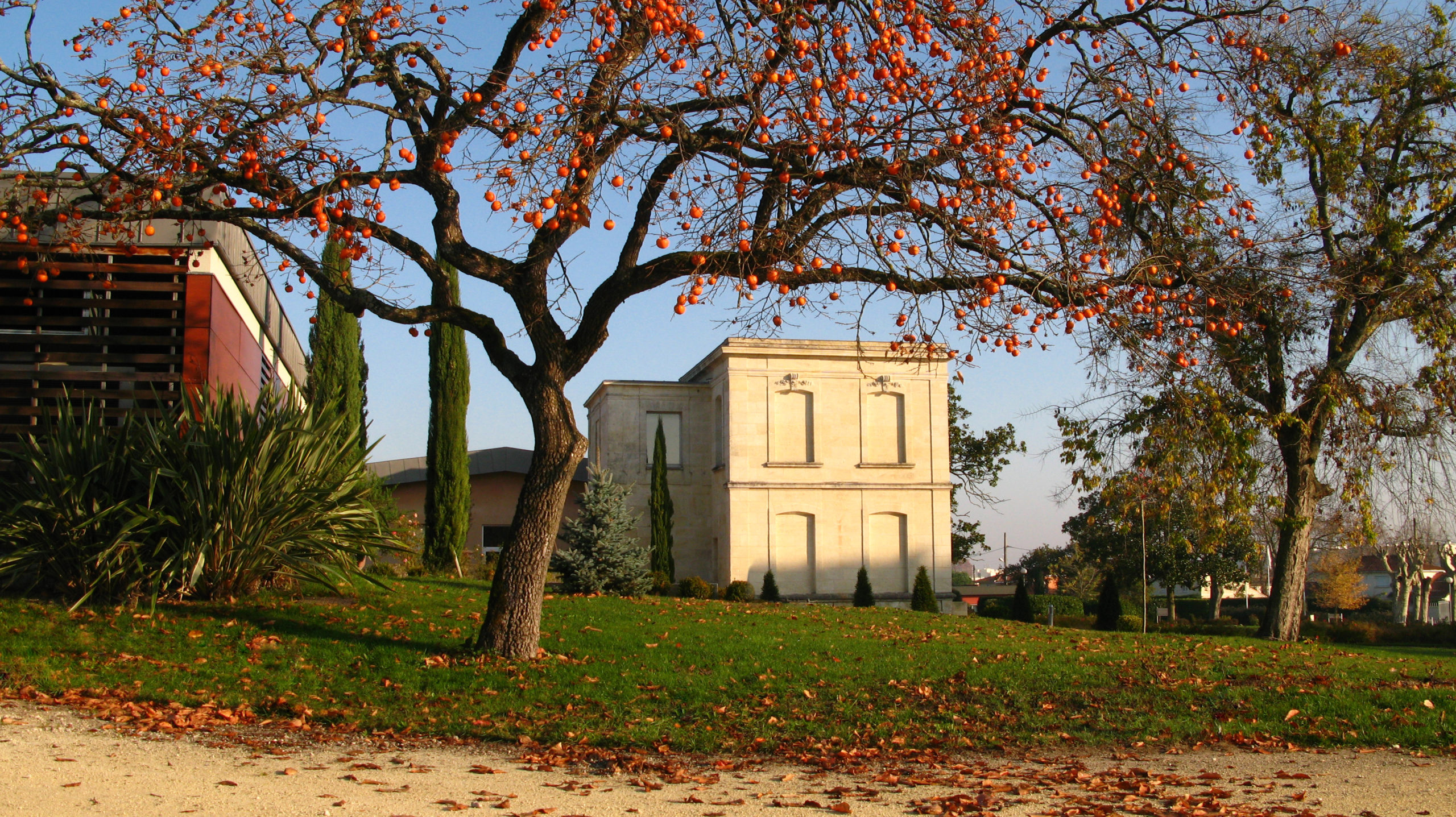 Château Luchey-Halde