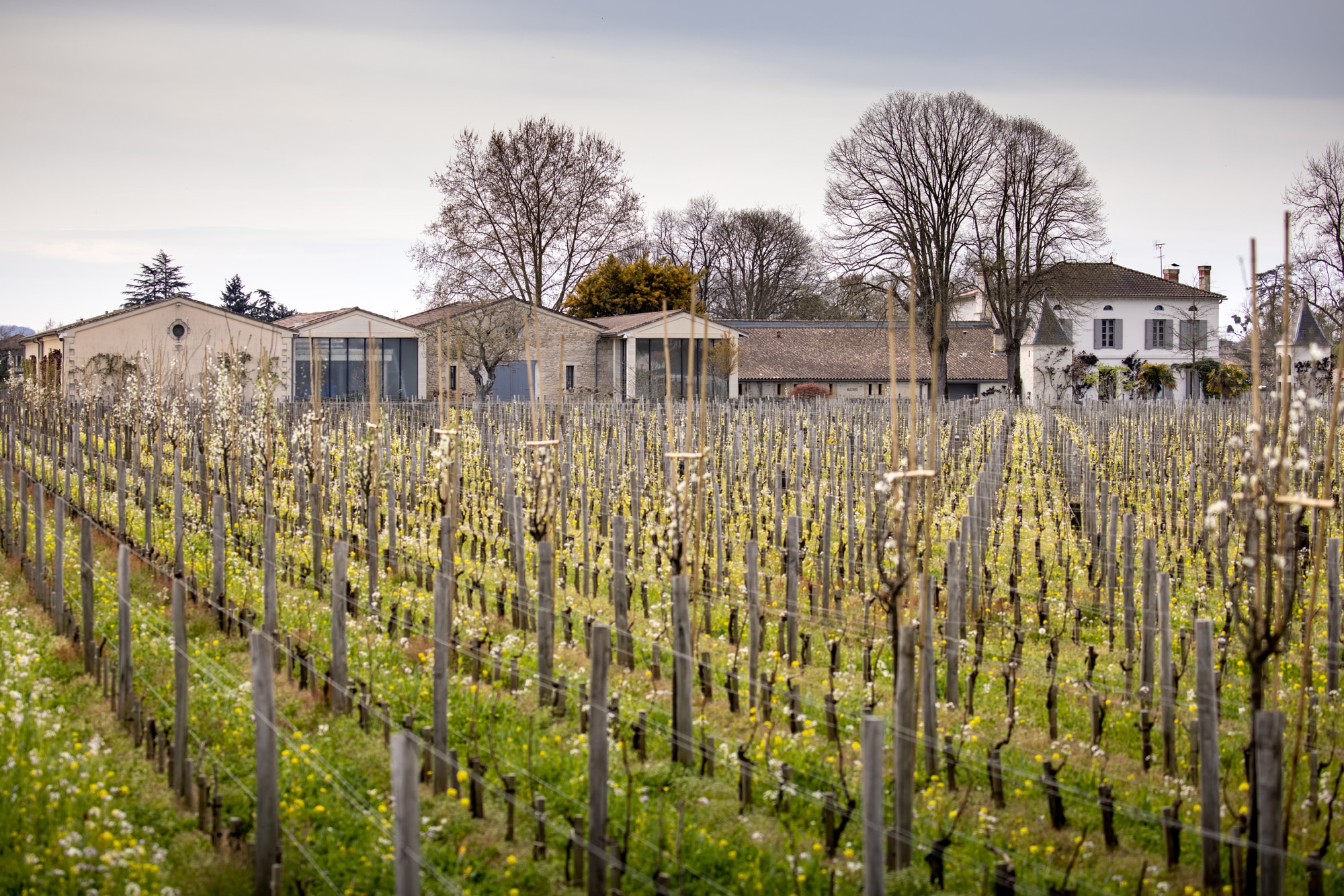 Château Quinault l'Enclos — photo 2