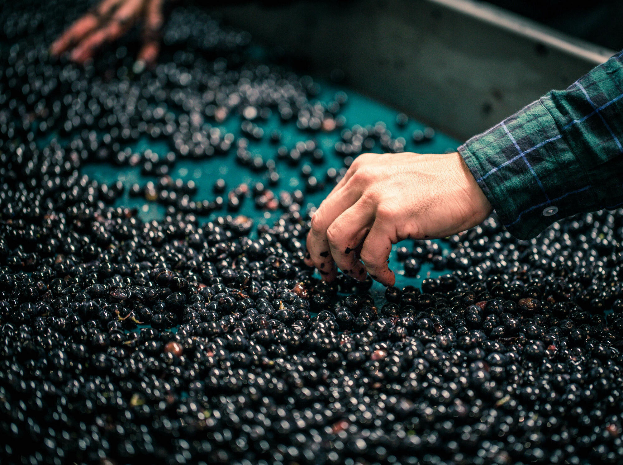 Clos Fourtet — photo 4