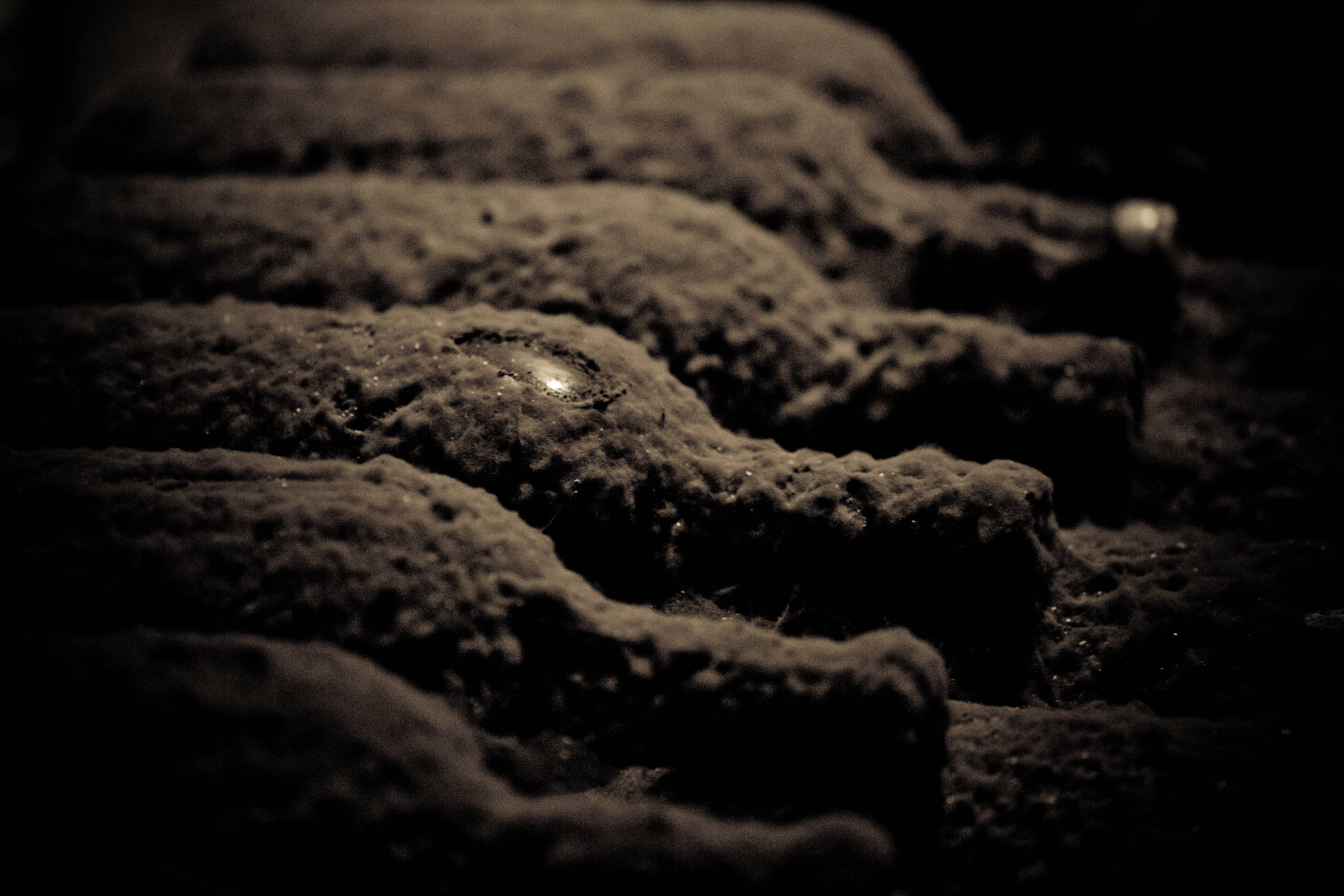 Clos Fourtet - Saint-Émilion