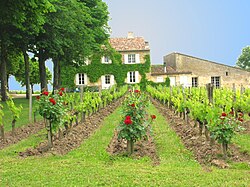 Clos Fourtet — photo 12
