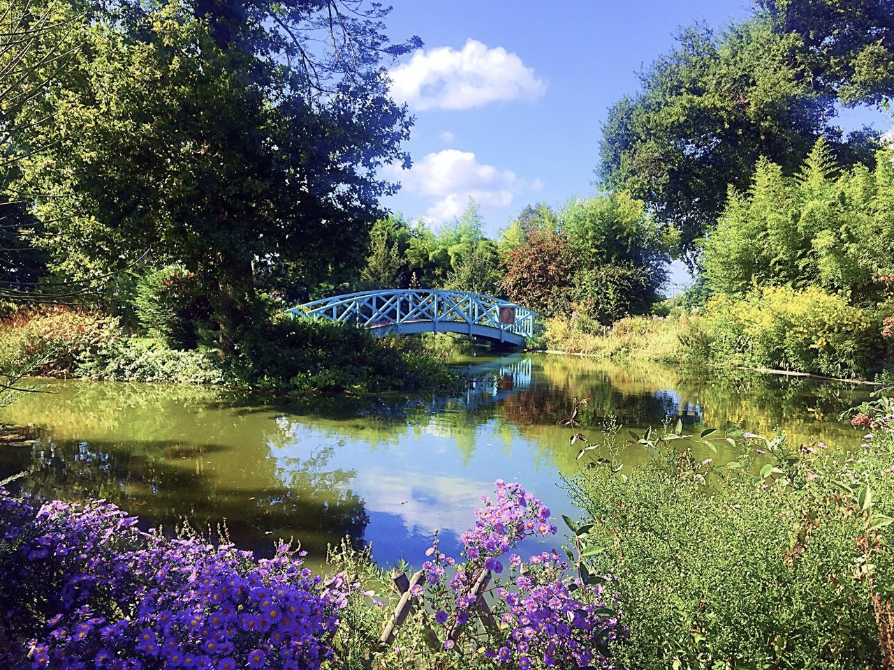 Château Rousseau de Sipian — photo 4