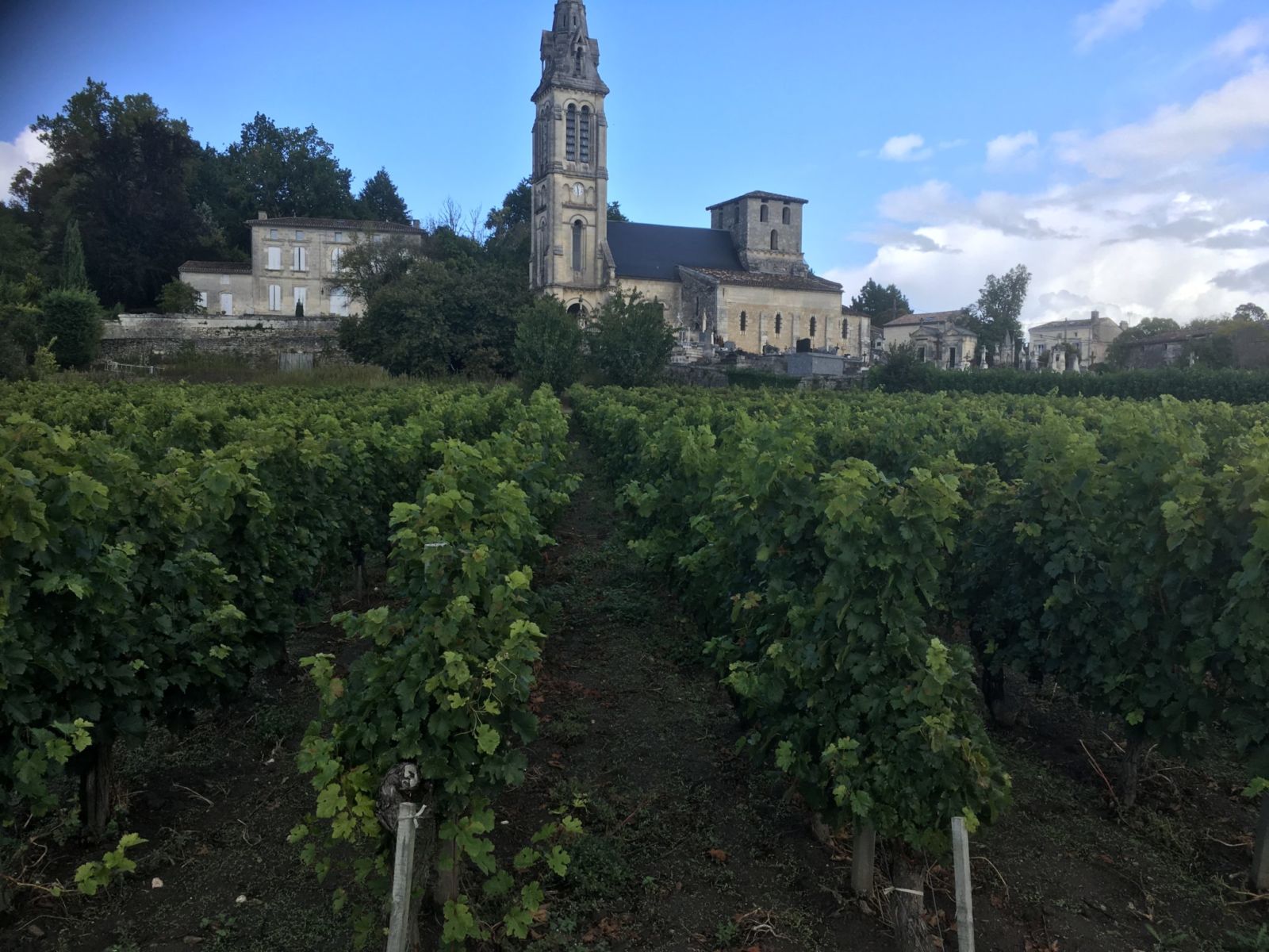 Clos Lariveau - Canon-Fronsac