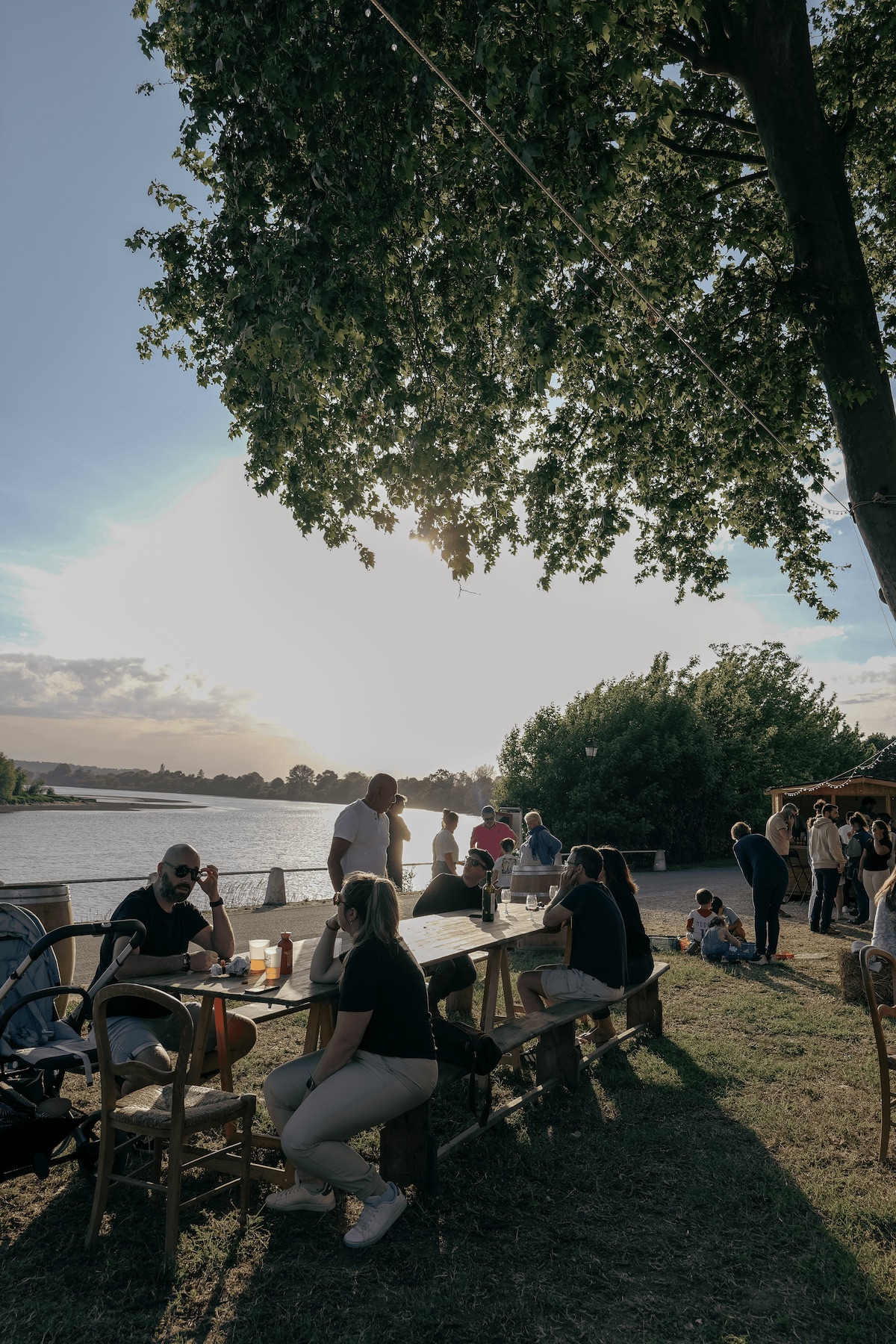 Vignobles Bardet — photo 8