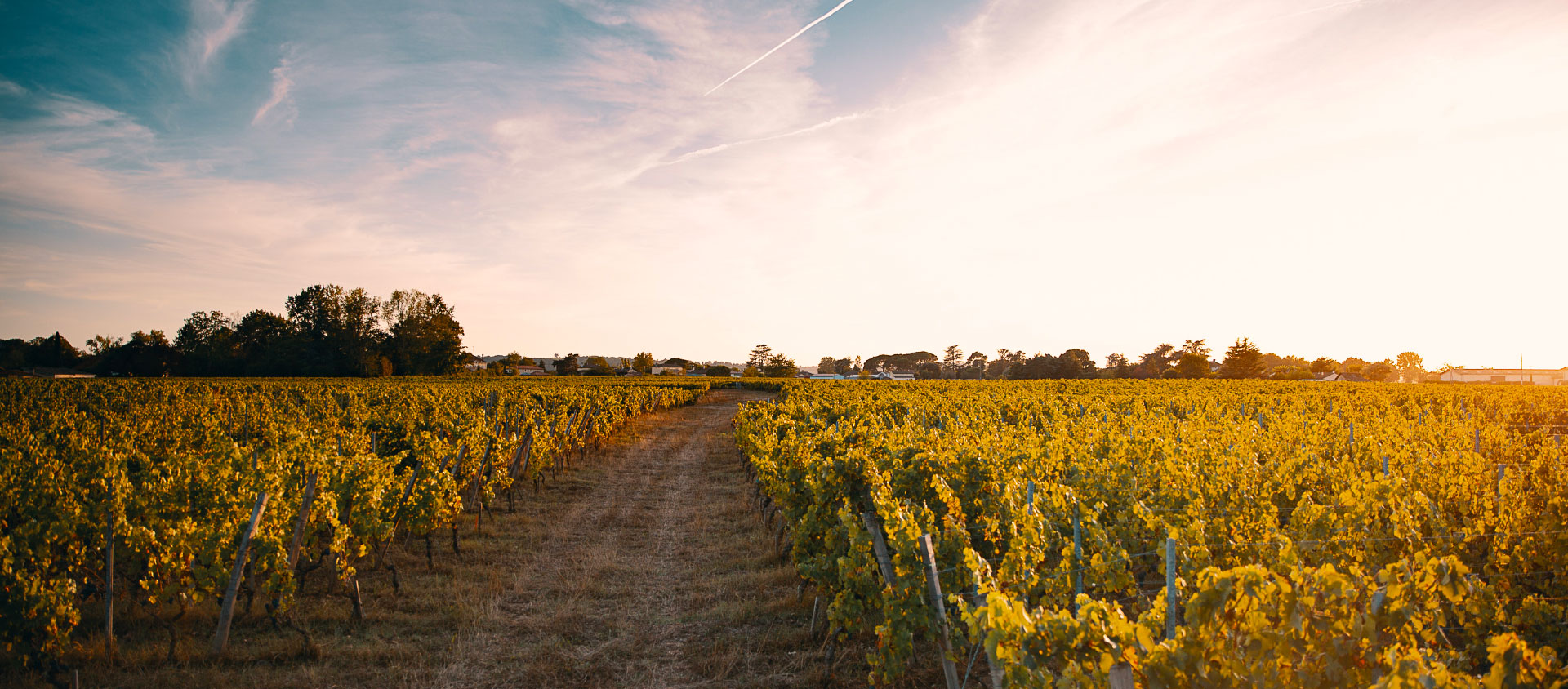 Hospitalité <br />& Convivialité