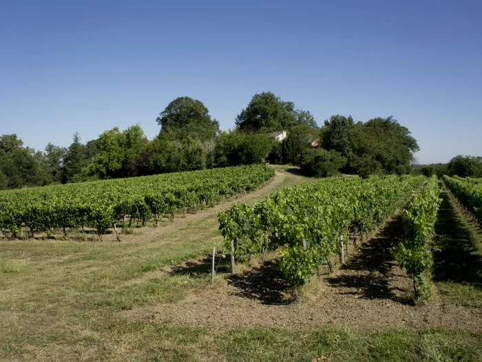 Château la Roseraie