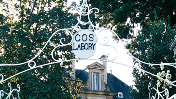 Château Cos Labory — photo 5