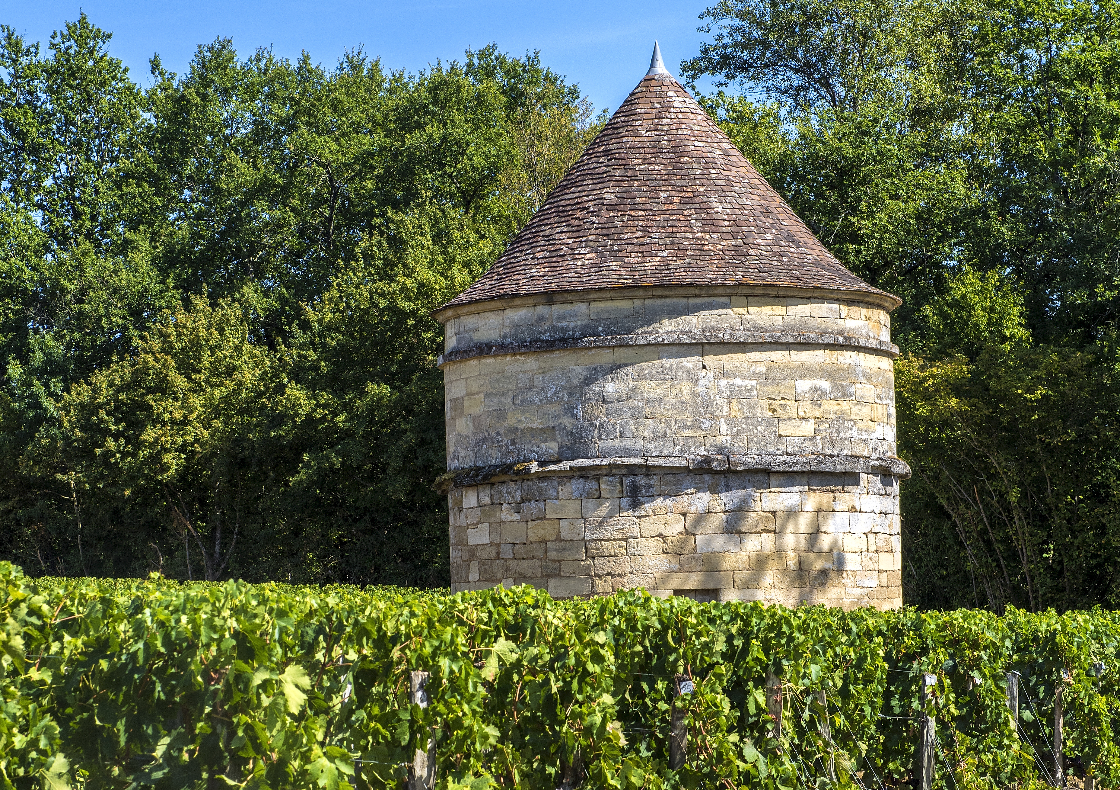 Château d'Aiguilhe - Castillon Côtes de Bordeaux