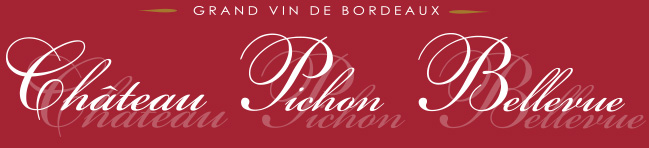 Bandeau du site version complète