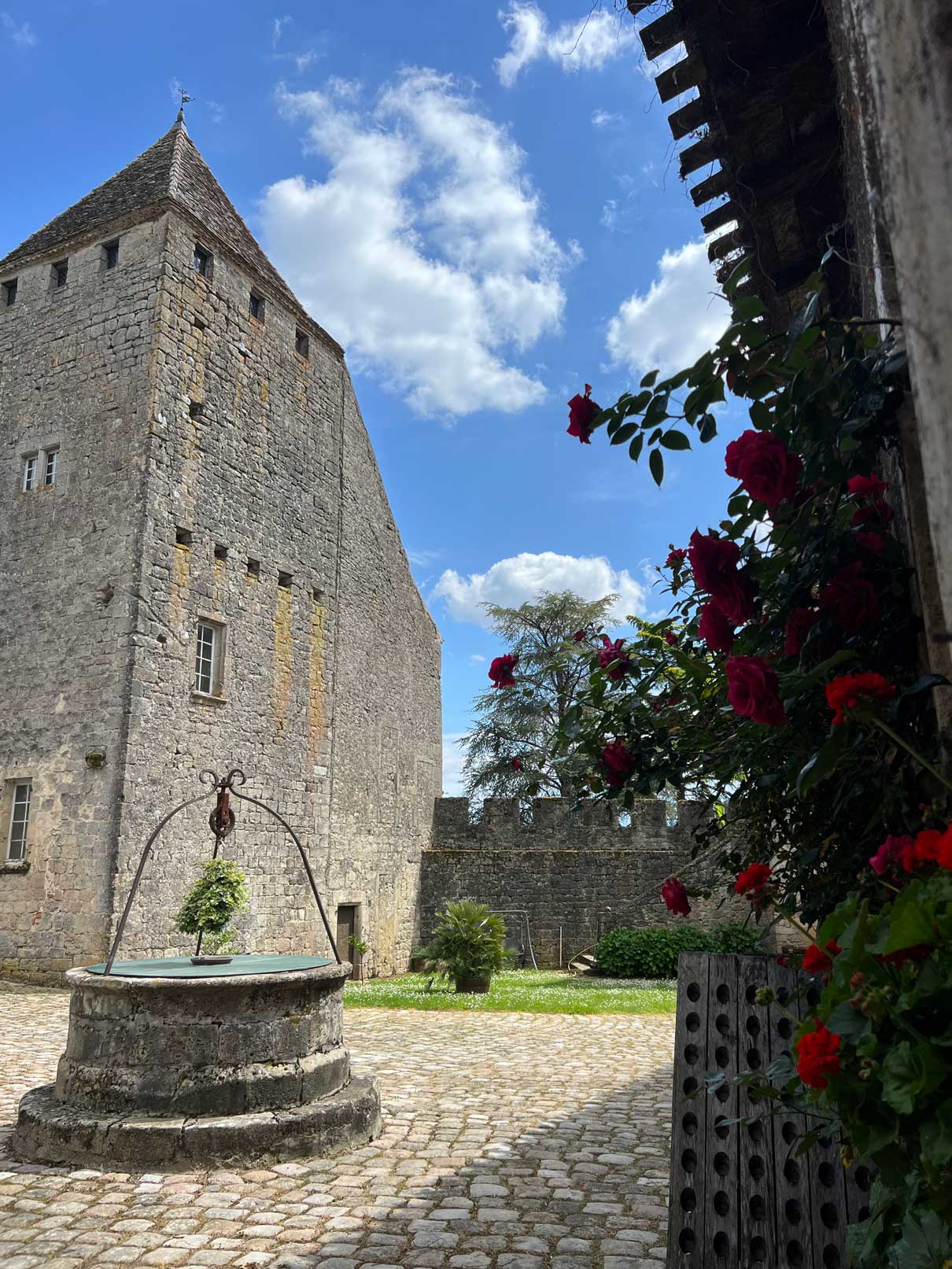 Château de Lavison — photo 3