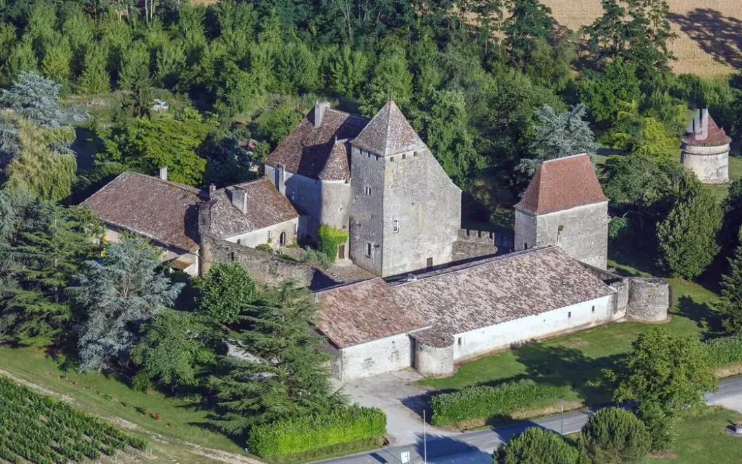Château de Lavison — photo 5