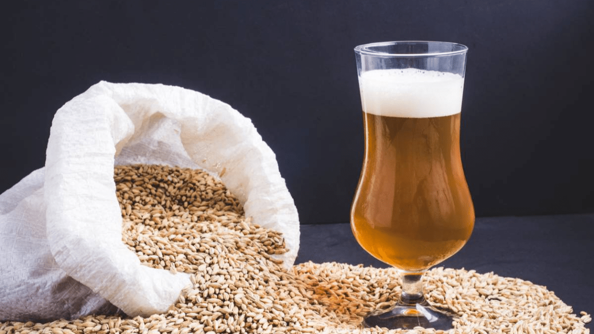 L’Art de la Brasserie Artisanale : Du Grain au Verre