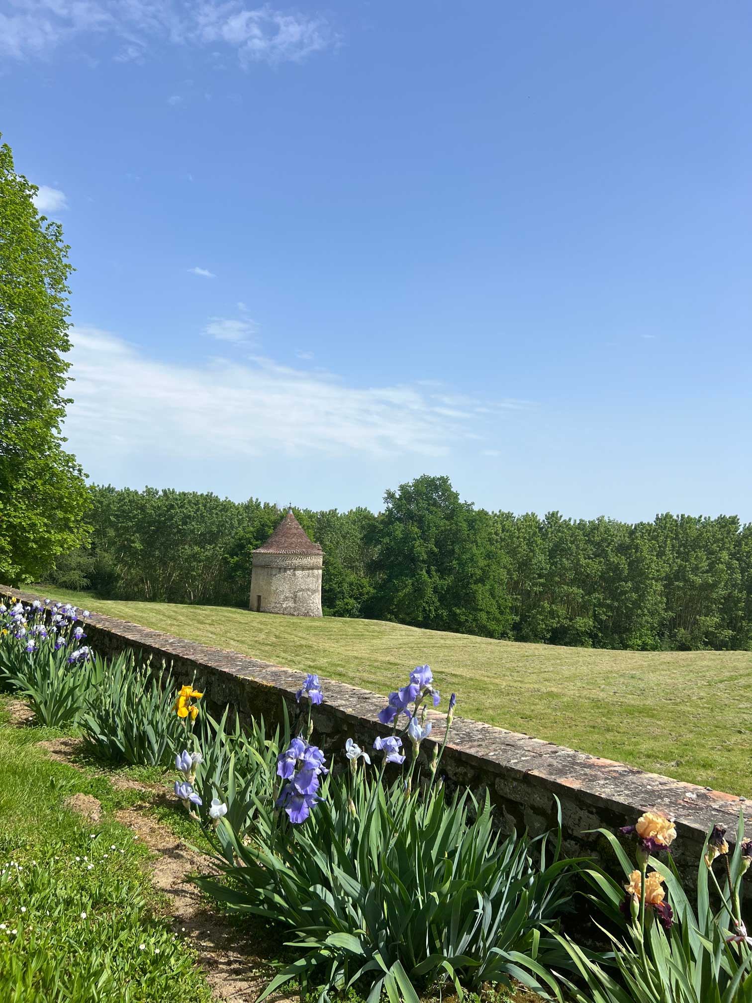 Château de Lavison — photo 4