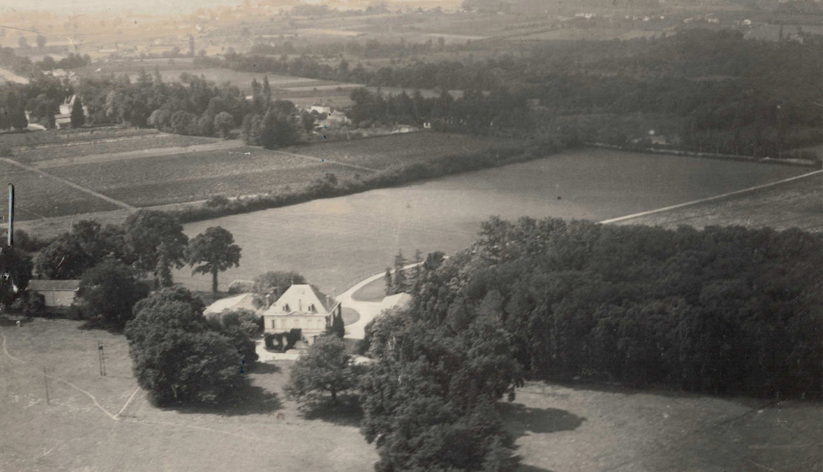 Vignobles massé en 1900