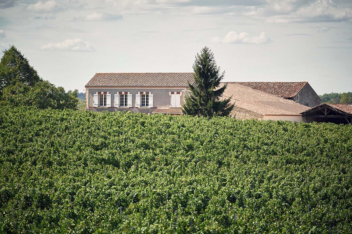 Château Bel-Air (Caplong) - Bordeaux