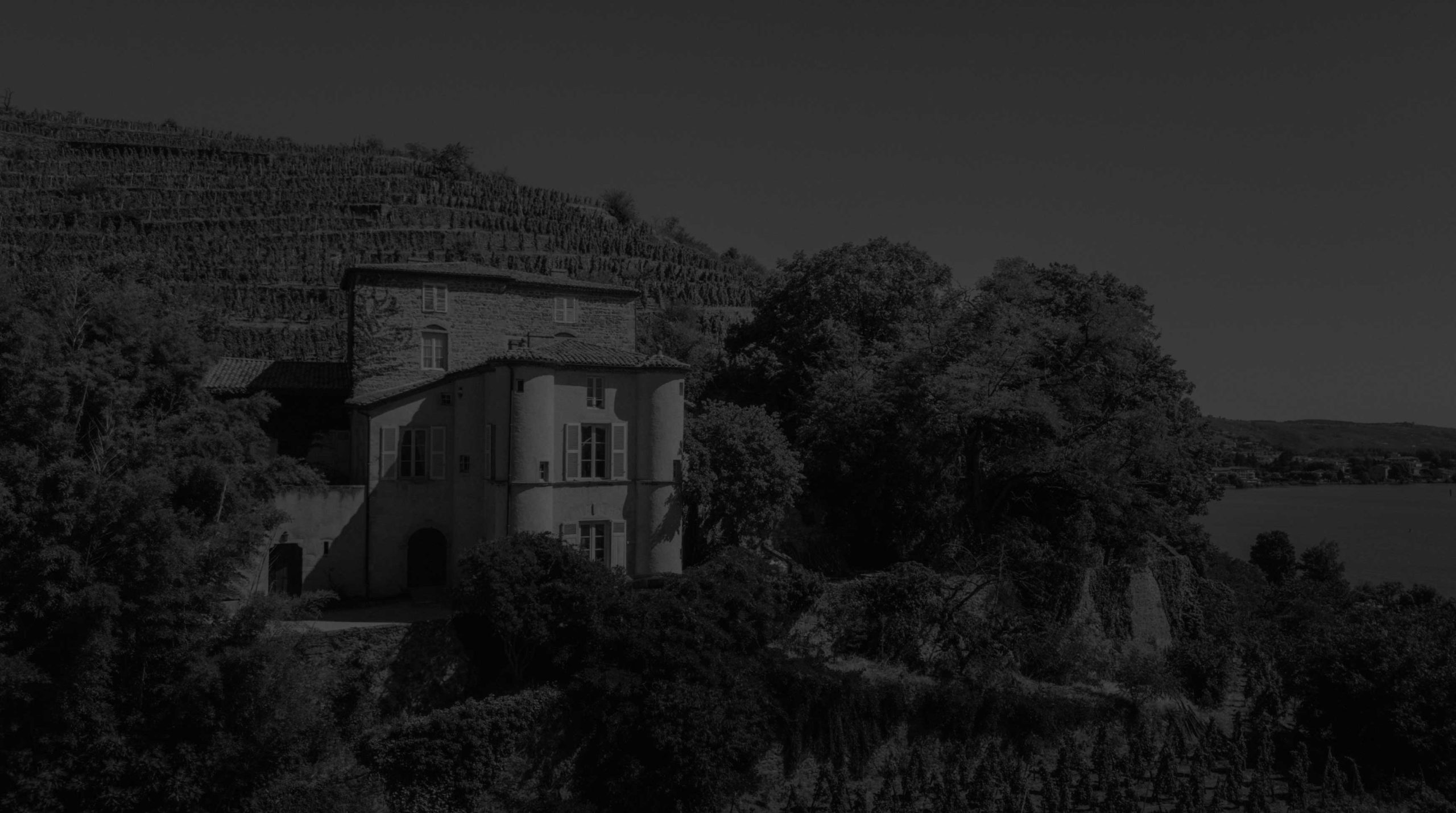 Domaine de Grillet - Côtes de Bourg