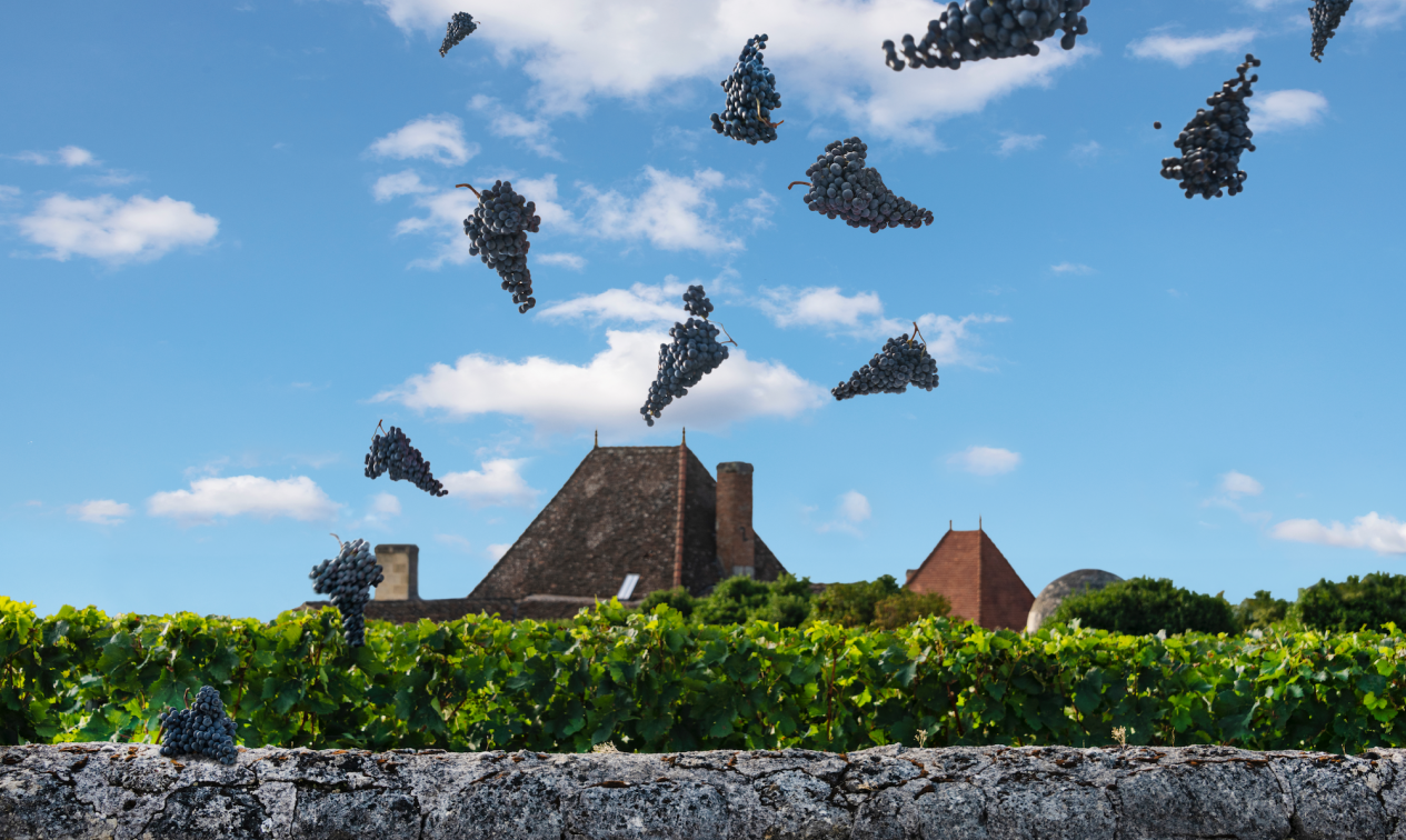 Château Bélair-Monange - Pomerol