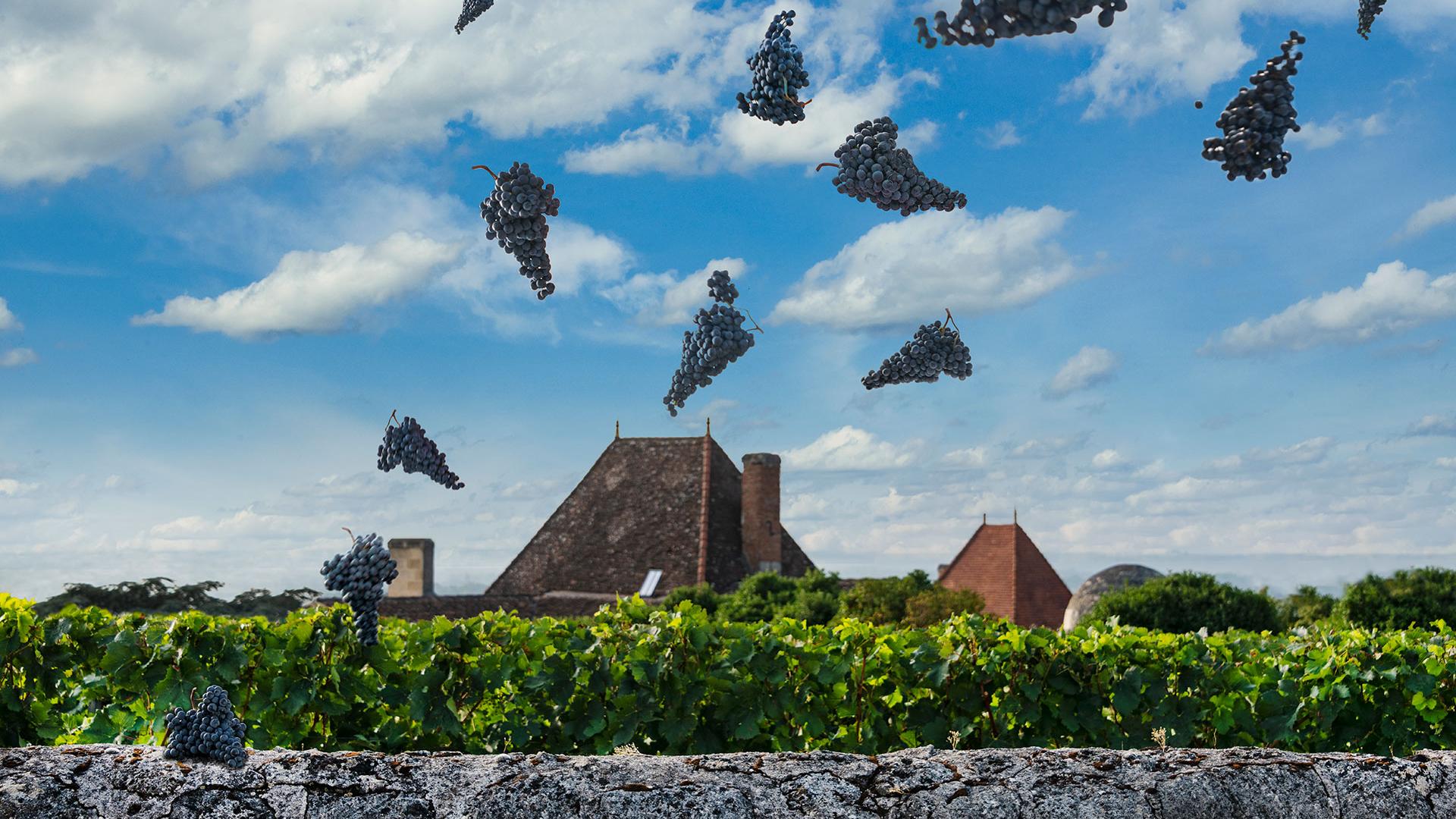 Château Bélair-Monange — photo 8