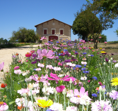 Château Sipian — photo 9