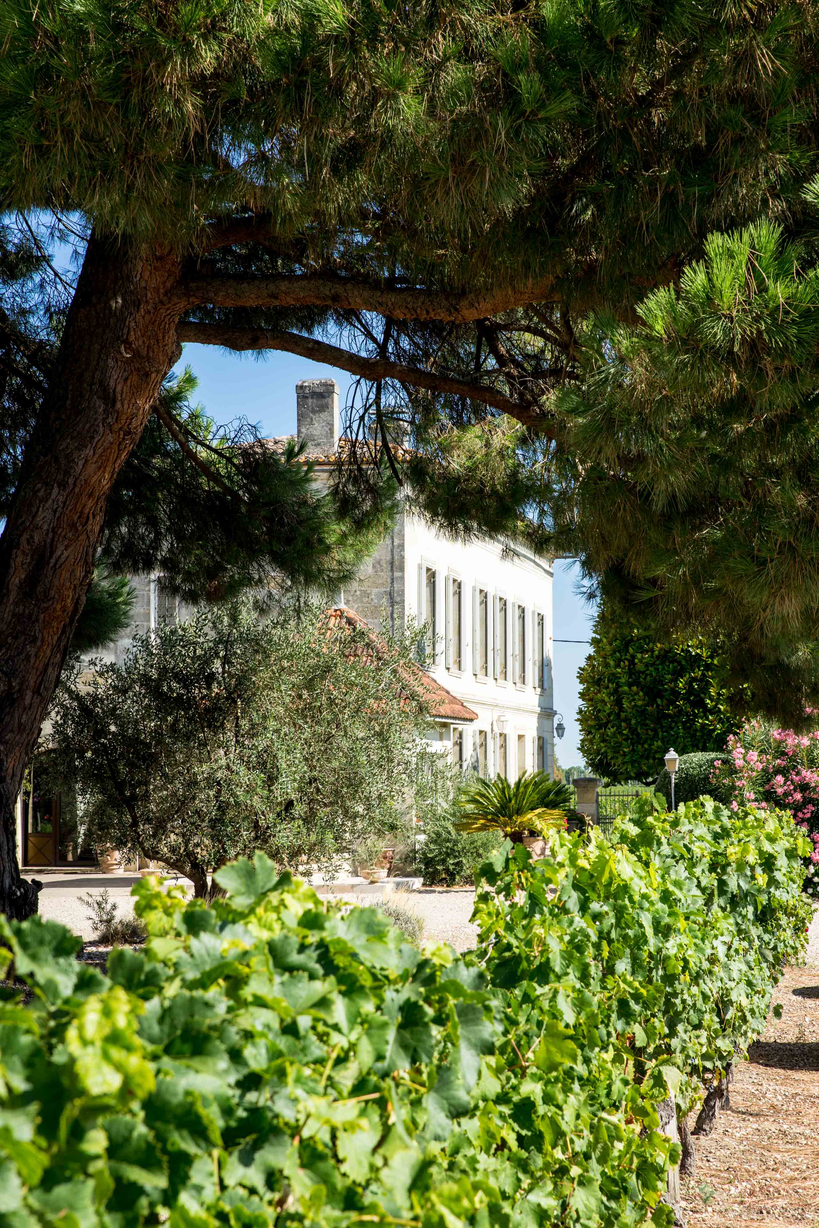 Château la Grâce Dieu les Menuts