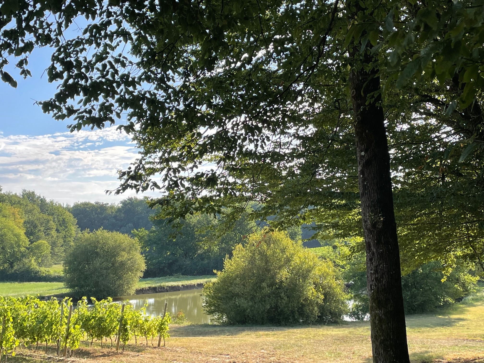 Château Vermont — photo 2
