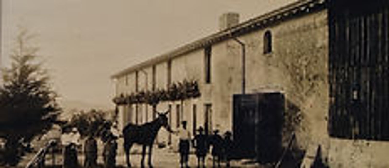 Château la Prioulette - Cadillac Côtes de Bordeaux