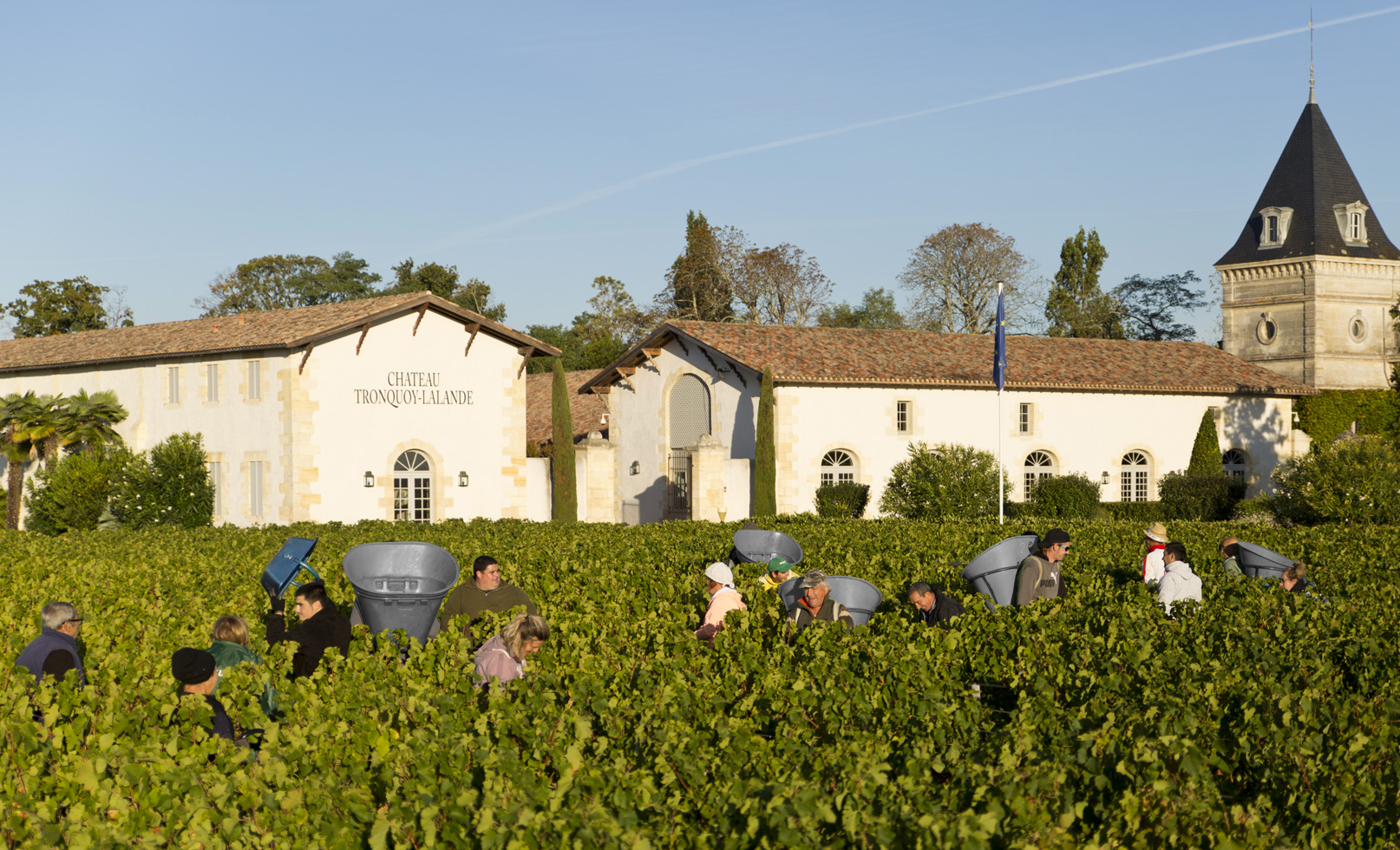 Château Tronquoy Lalande — photo 4