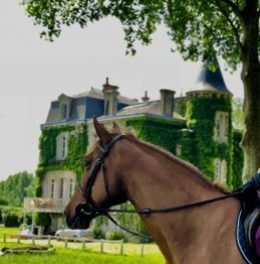 Château Bacon — photo 7