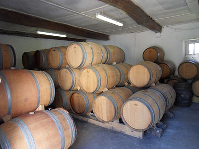 Château des Mailles — photo 4