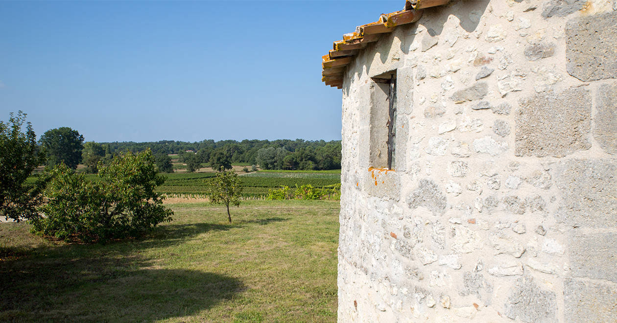 Vignobles Bourdillas — photo 2