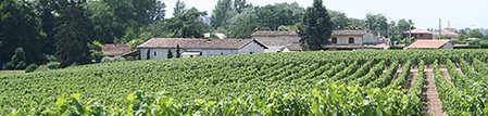 Château de l'Etoile de Salles — photo 4
