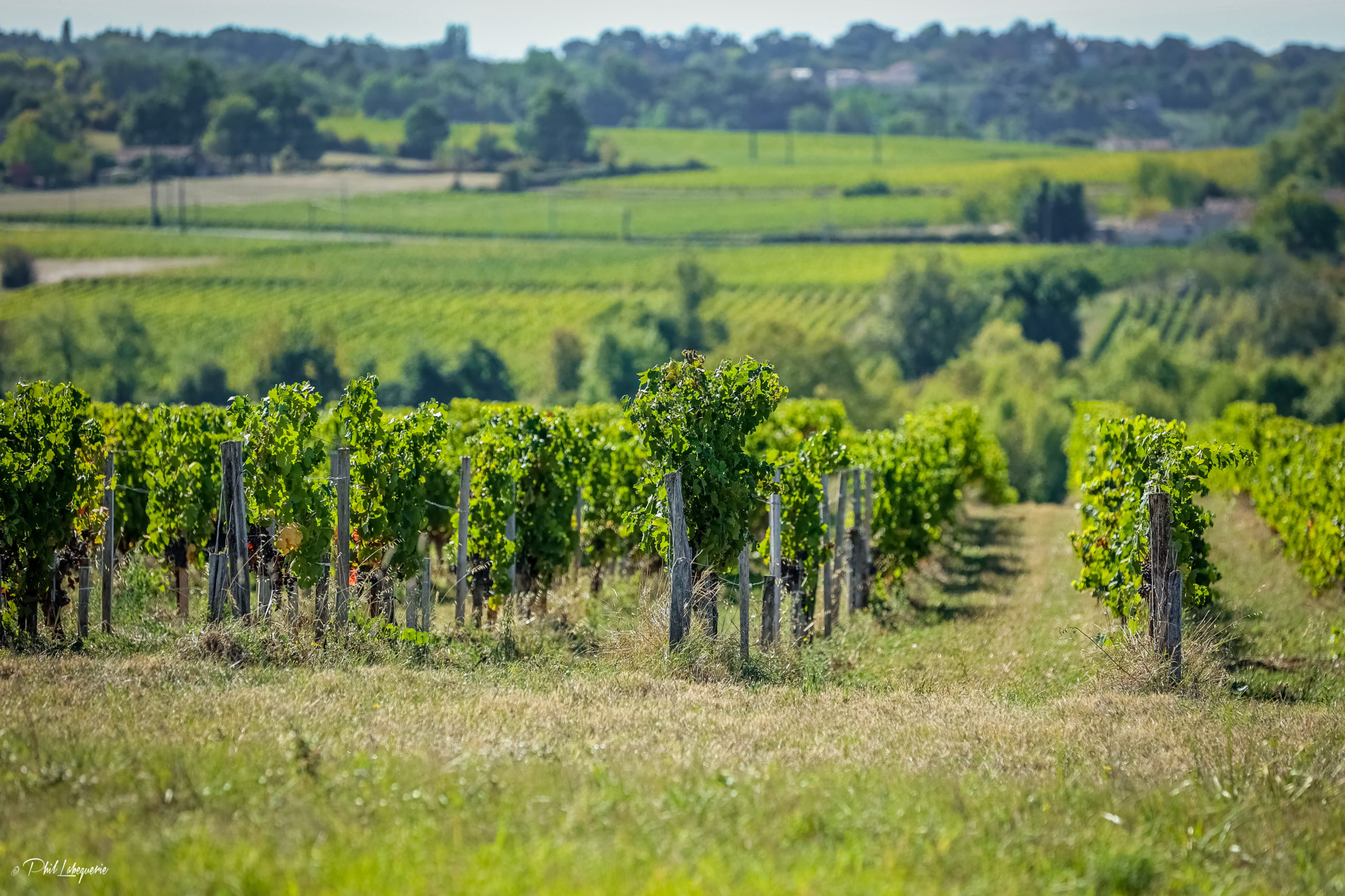 Château Mondesir-Gazin
