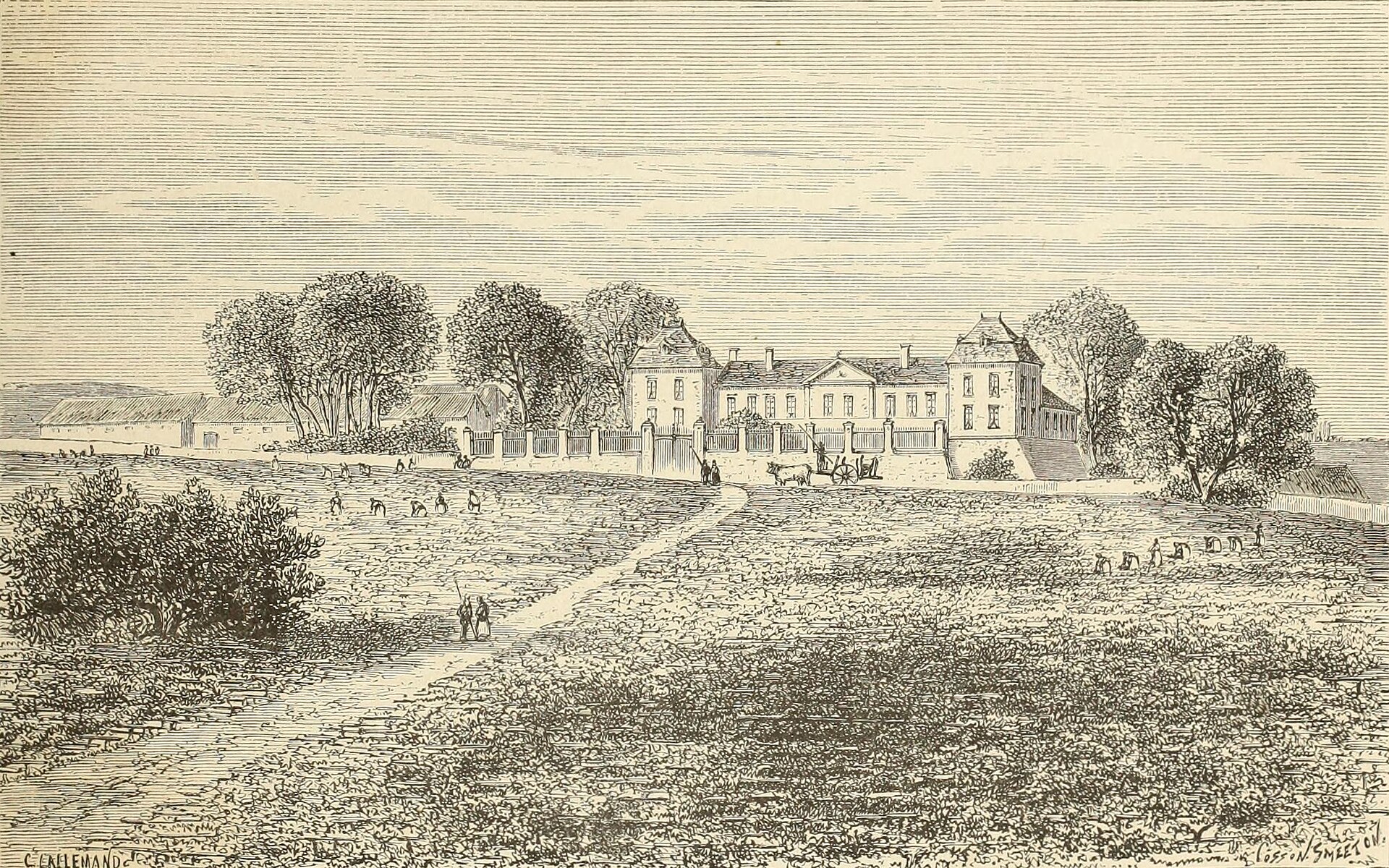 Château Calon-Ségur