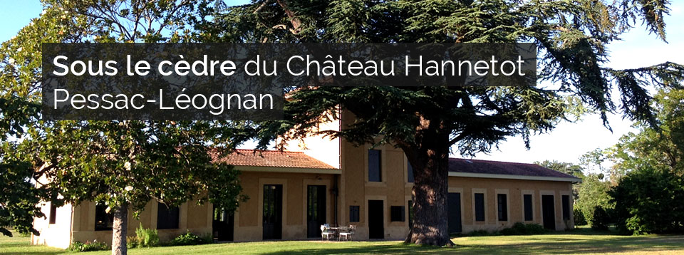 Château Hannetot