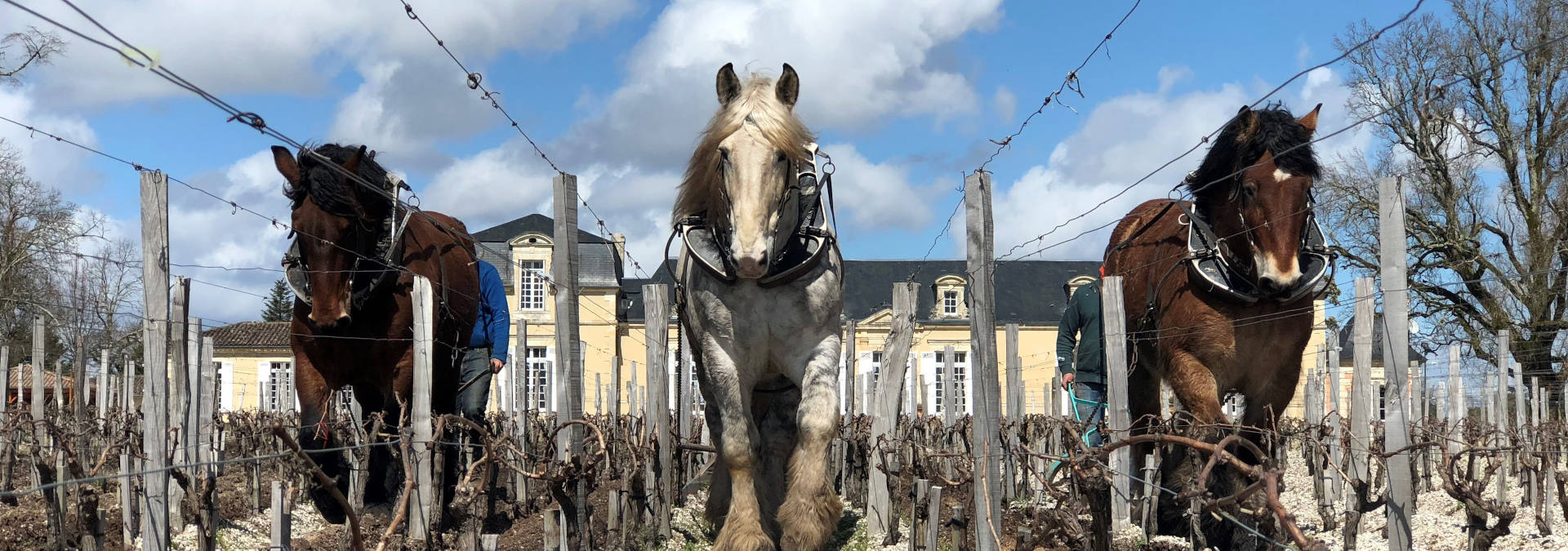 Château de Rouillac — photo 4