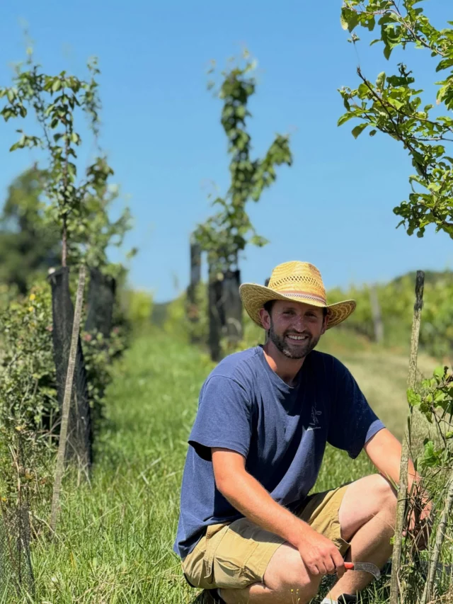 Only 20 hectares are dedicated to winemaking at Larrivaux, the remaining 70 hectares surrounding the estate are dedicated to nature. We keep on taking care of this amazing ecosystem. Today, Fabien, is getting rid of the nets protecting the trees planted few years ago, from deers and stags… we hope they won’t eat all those this summer.