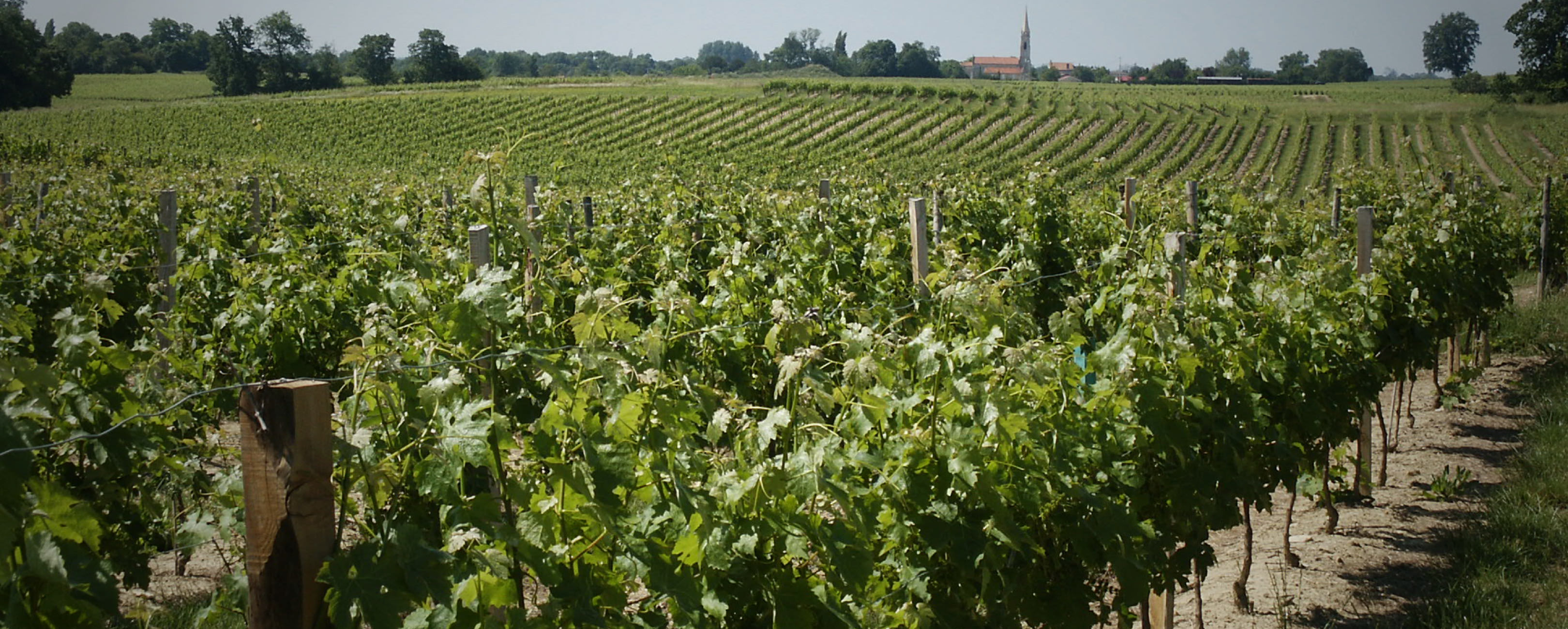 Château Mareil — photo 2