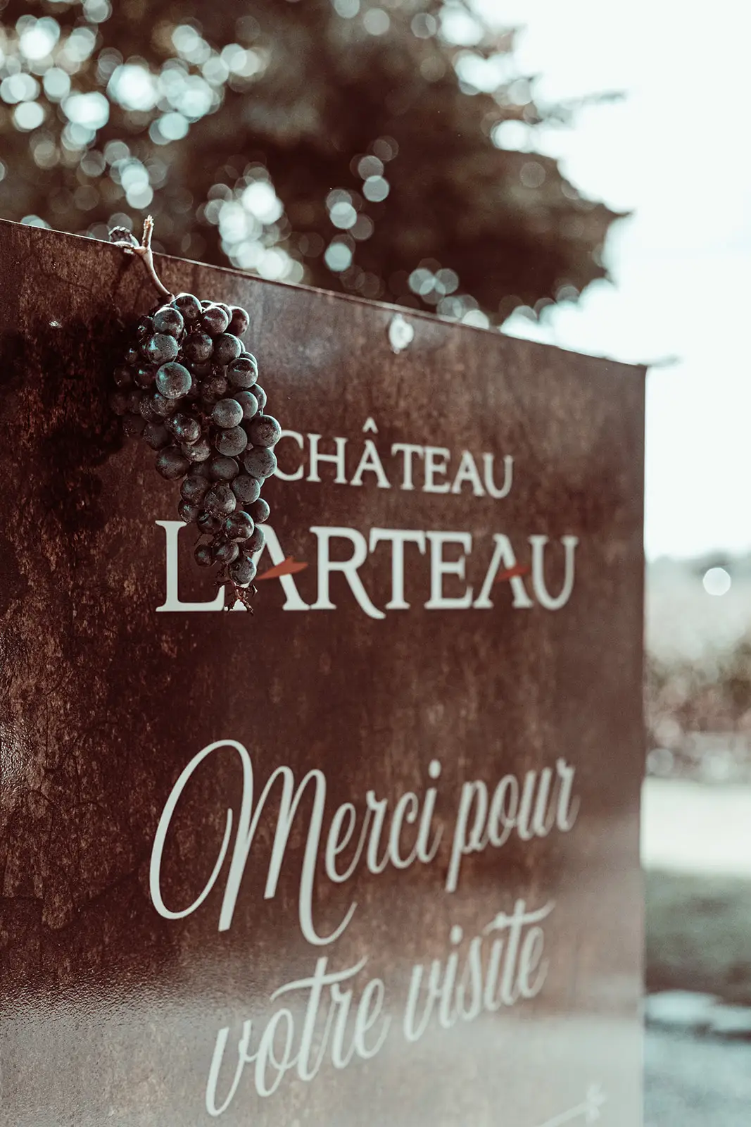 Château Larteau