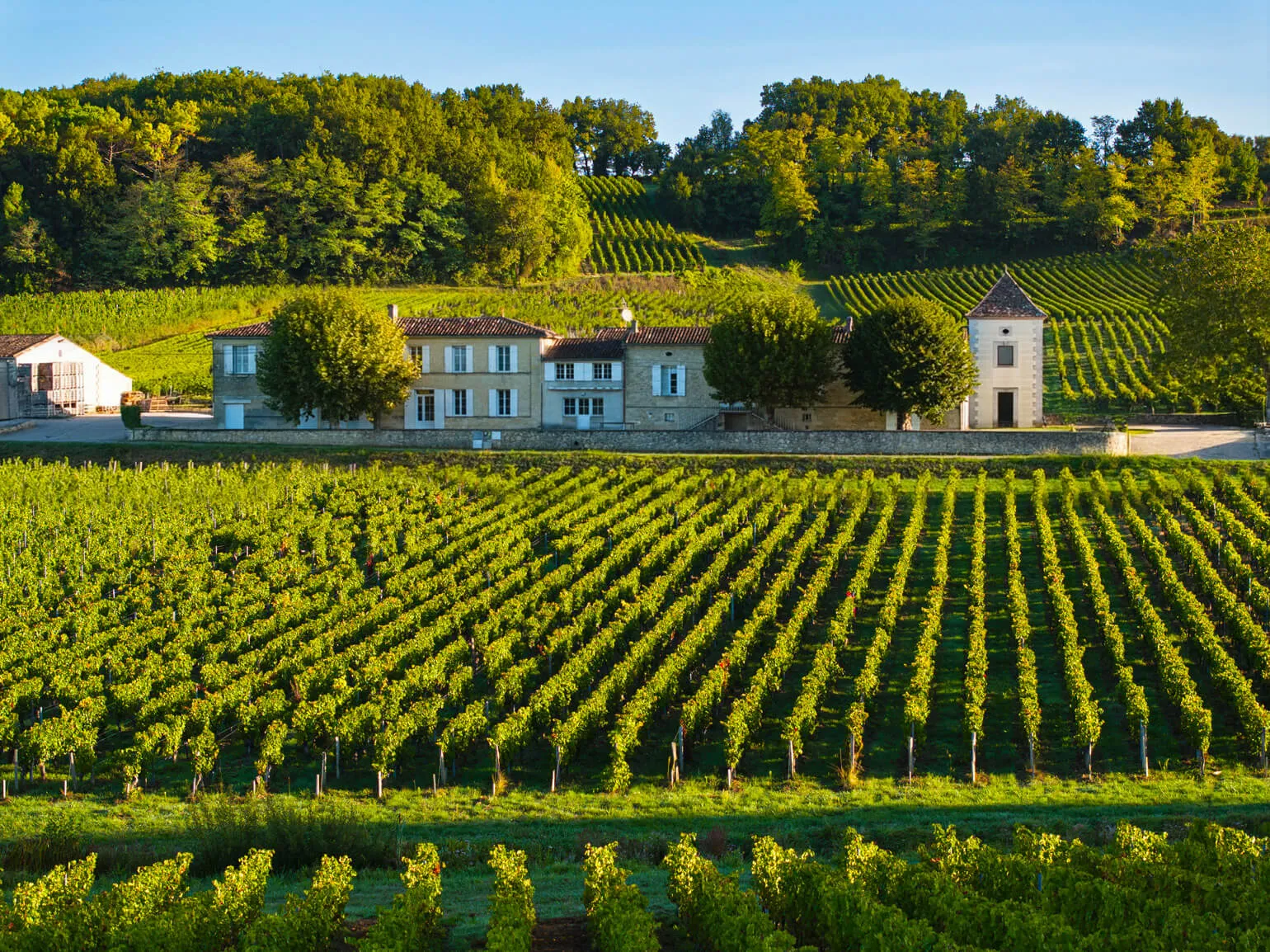 Maison Claret estate building surrounded by vineyards