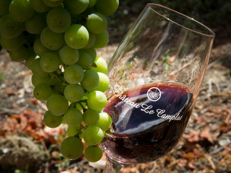 Chateau-Le-Camplat-gamme-vin-blaye