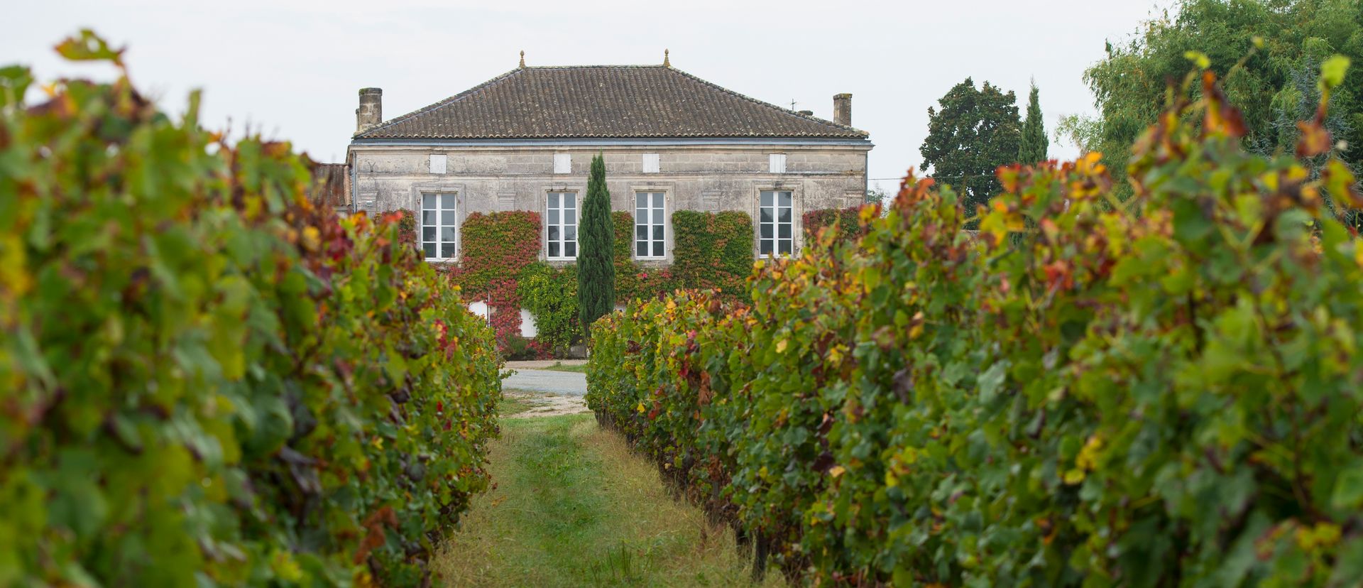 Château Fougas - Côtes de Bourg