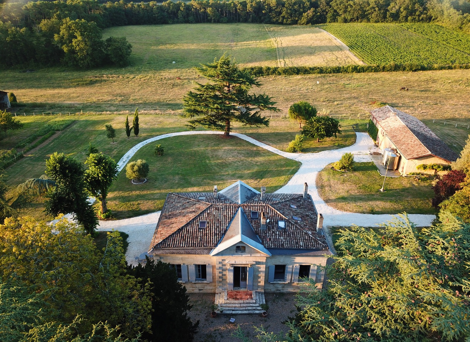 Château Languissan — photo 2