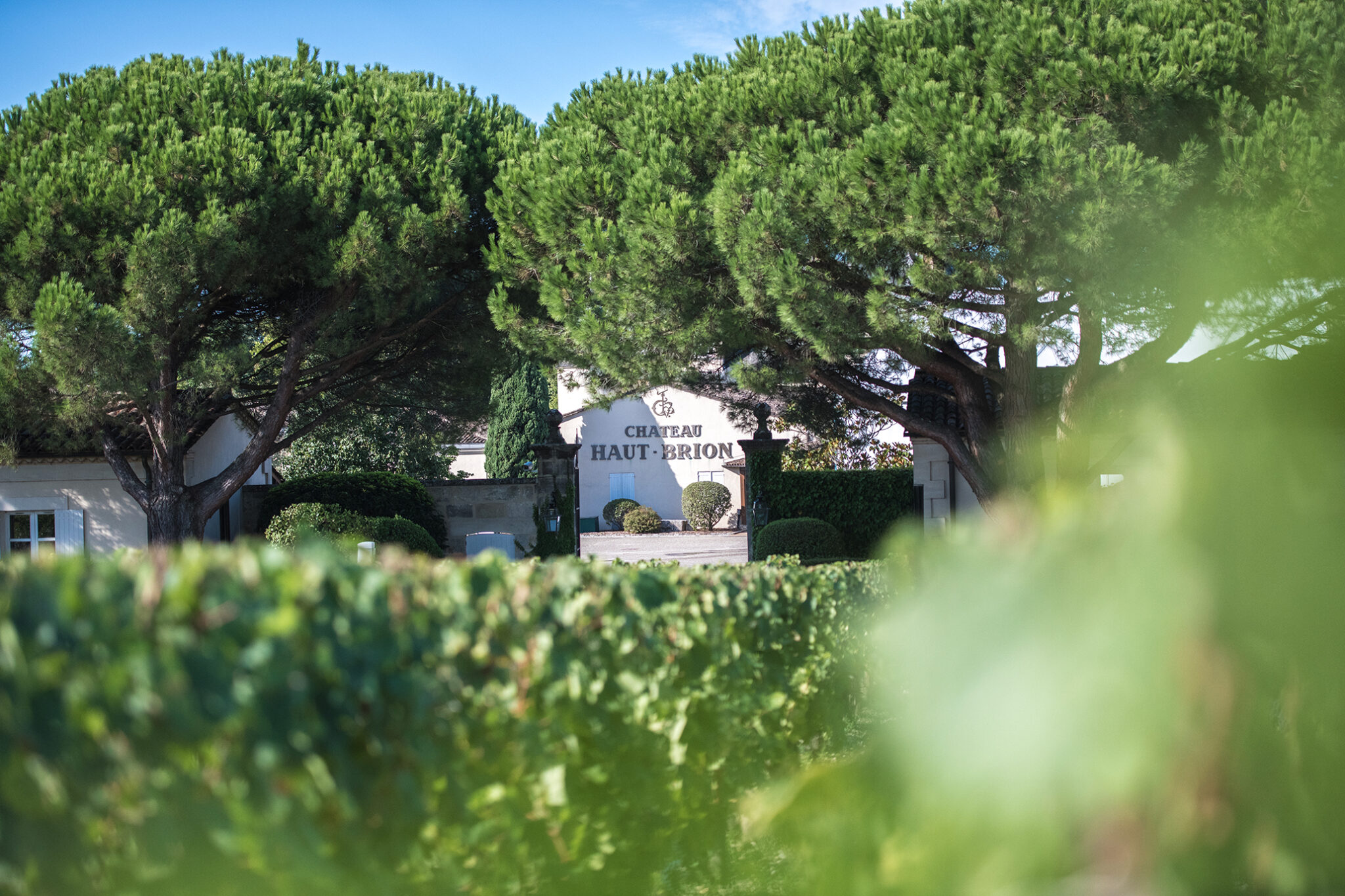 Château la Tour Haut-Brion - Graves