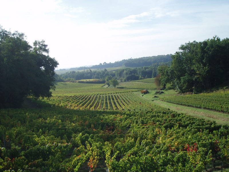 Château Tour Birol